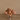 Flowers-Velvet Magnolia in Glass Vase-Bloomr