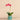 Flowers-Orchid Arrangement in Ceramic Vase-Bloomr