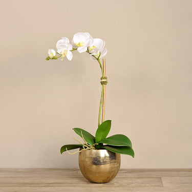 Flowers-Artificial Orchid Arrangement-Bloomr
