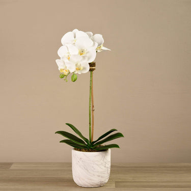 Flowers-Artificial Orchid Arrangement-Bloomr