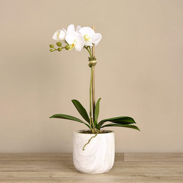 Flowers-Artificial Orchid Arrangement-Bloomr