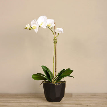 Flowers-Artificial Orchid Arrangement-Bloomr