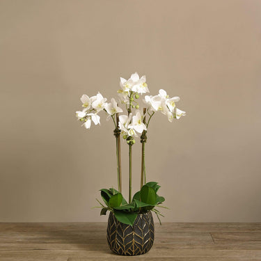 Flowers-Artificial Orchid Arrangement-Bloomr