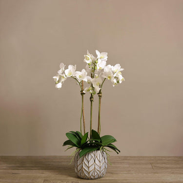 Flowers-Artificial Orchid Arrangement-Bloomr