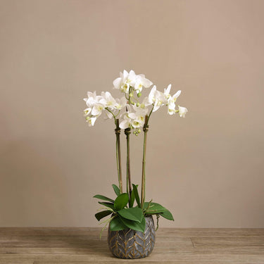 Flowers-Artificial Orchid Arrangement-Bloomr