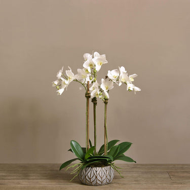 Flowers-Artificial Orchid Arrangement-Bloomr