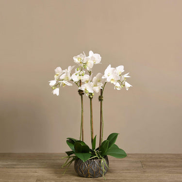Flowers-Artificial Orchid Arrangement-Bloomr