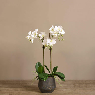 Flowers-Artificial Orchid Arrangement-Bloomr