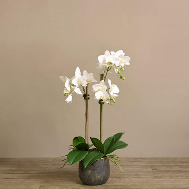 Flowers-Artificial Orchid Arrangement-Bloomr