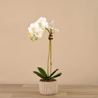 Flowers-Artificial Orchid Arrangement-Bloomr