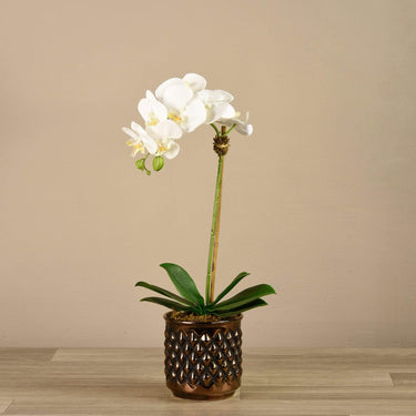 Flowers-Artificial Orchid Arrangement-Bloomr