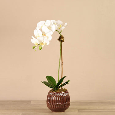 Flowers-Artificial Orchid Arrangement-Bloomr