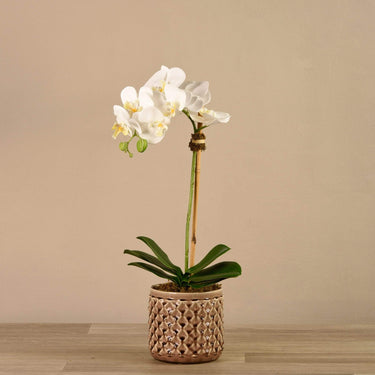 Flowers-Artificial Orchid Arrangement-Bloomr