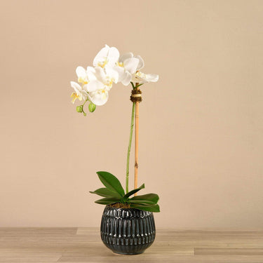 Flowers-Artificial Orchid Arrangement-Bloomr