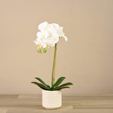 Flowers-Artificial Orchid Arrangement-Bloomr