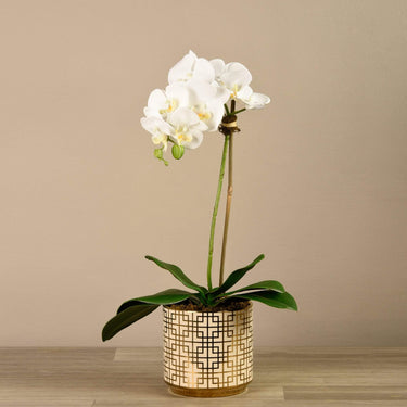Flowers-Artificial Orchid Arrangement-Bloomr