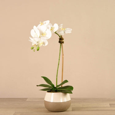 Flowers-Artificial Orchid Arrangement-Bloomr