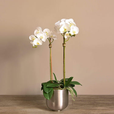 Flowers-Artificial Orchid Arrangement-Bloomr