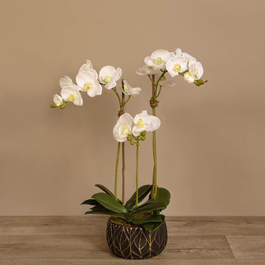 Flowers-Artificial Orchid Arrangement-Bloomr