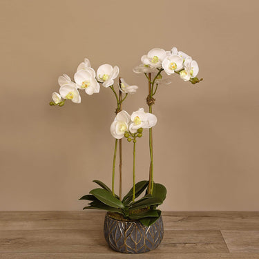 Flowers-Artificial Orchid Arrangement-Bloomr