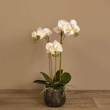 Flowers-Artificial Orchid Arrangement-Bloomr