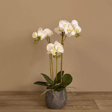 Flowers-Artificial Orchid Arrangement-Bloomr