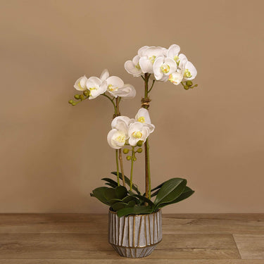 Flowers-Artificial Orchid Arrangement-Bloomr