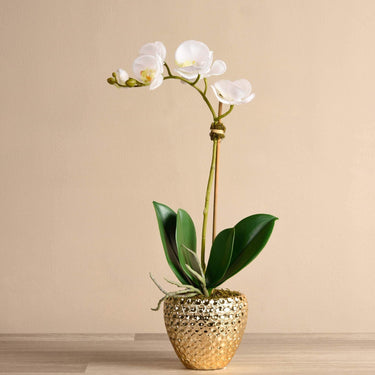 Flowers-Artificial Orchid Arrangement-Bloomr
