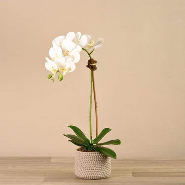 Flowers-Artificial Orchid Arrangement-Bloomr