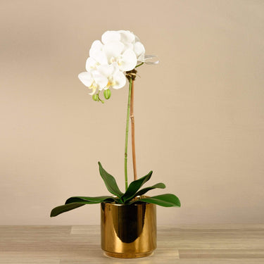 Flowers-Artificial Orchid Arrangement-Bloomr