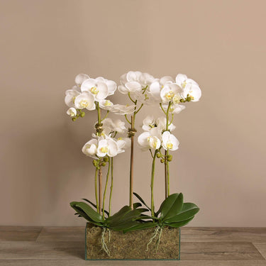 Flowers-Artificial Orchid Arrangement in Glass Vase-Bloomr