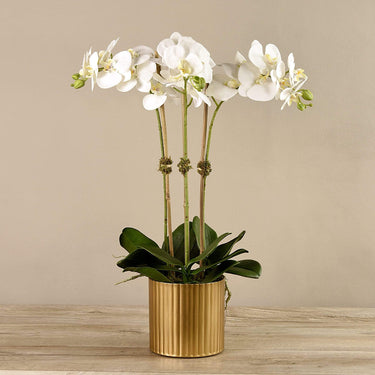 Flowers-Artificial Orchid Arrangement-Bloomr