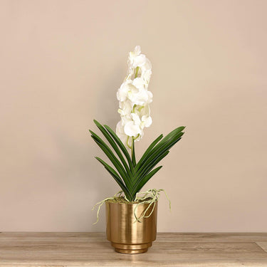 Flowers-Artificial Vanda Arrangement-Bloomr