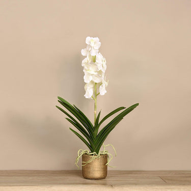 Flowers-Artificial Vanda Arrangement-Bloomr