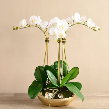 Flowers-Artificial Orchid Arrangement-Bloomr