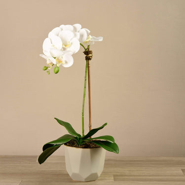 Flowers-Artificial Orchid Arrangement-Bloomr