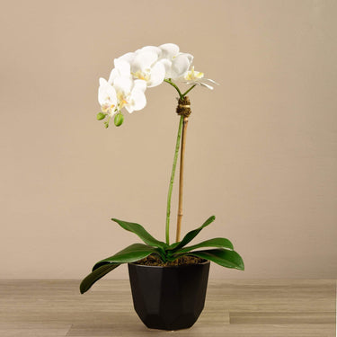 Flowers-Artificial Orchid Arrangement-Bloomr