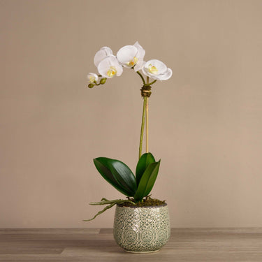 Flowers-Artificial Orchid Arrangement-Bloomr