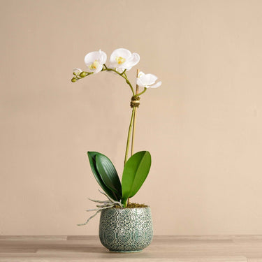 Flowers-Artificial Orchid Arrangement-Bloomr