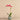 Flowers-Artificial Orchid Arrangement-Bloomr