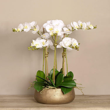 Flowers-Oasis Artificial Orchids in Gold Pot-Bloomr