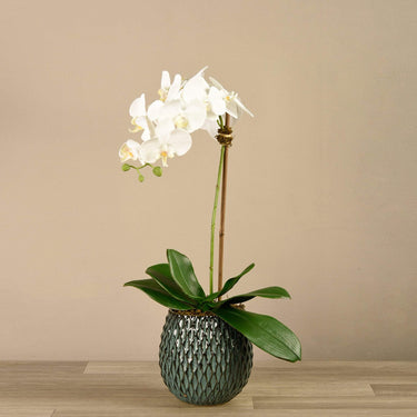 Flowers-Artificial Orchid Arrangement-Bloomr