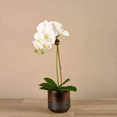 Flowers-Artificial Orchid Arrangement-Bloomr