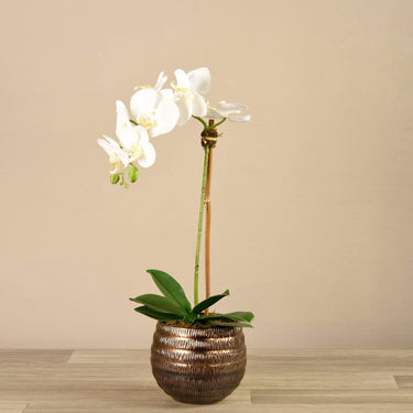 Flowers-Artificial Orchid Arrangement-Bloomr