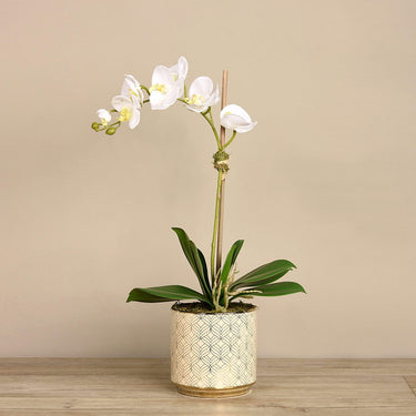 Flowers-Artificial Orchid Arrangement-Bloomr