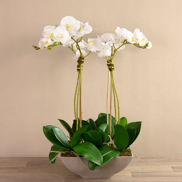 Flowers-Artificial Orchid Arrangement-Bloomr