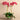 Flowers-Artificial Orchid Arrangement-Bloomr