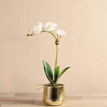 Flowers-Parisian Artificial Orchid Arrangement-Bloomr