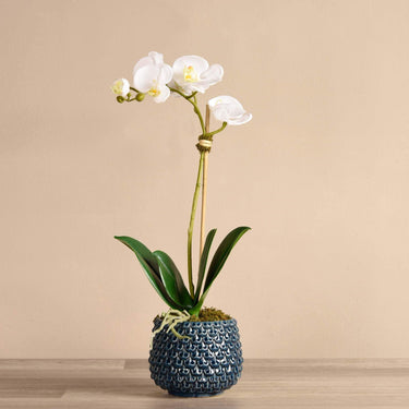 Flowers-Pearl Orchid Arrangement-Bloomr