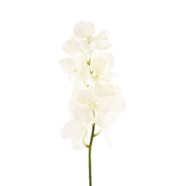Flowers-Vanda Stem-Bloomr